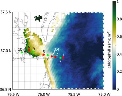 A comparison of adenosine triphosphate with other metrics of microbial biomass in a gradient from the North Atlantic to the Chesapeake Bay